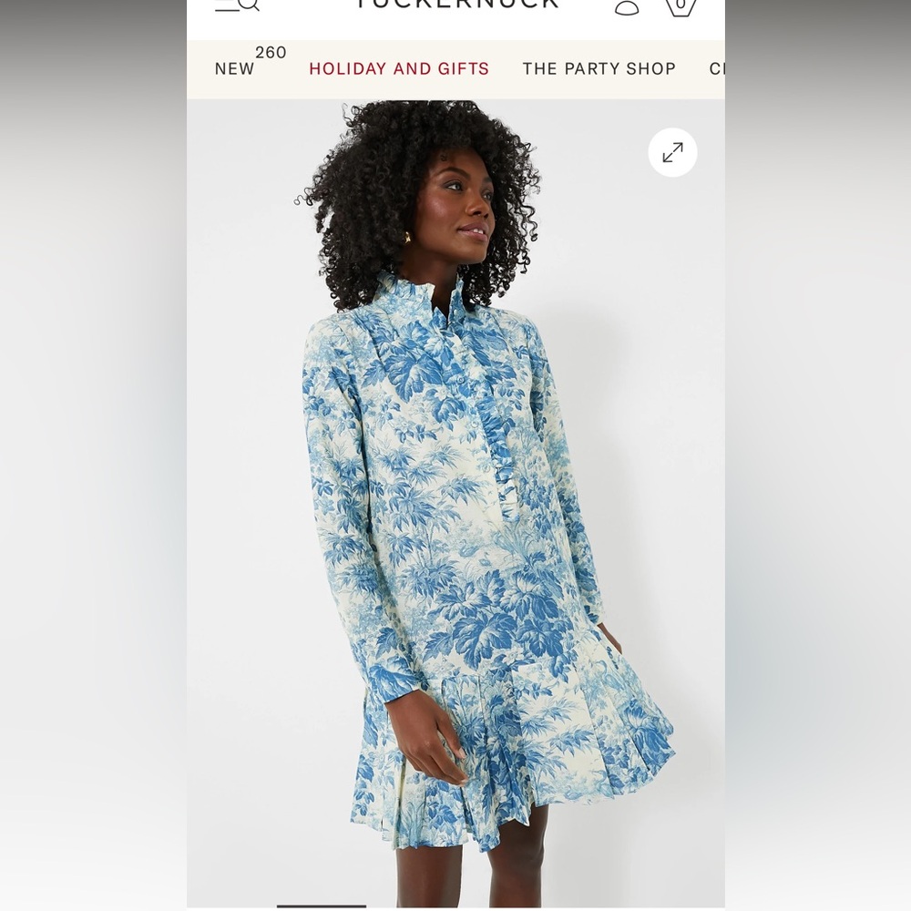 NWT Tuckernuck Blue Toile Tate Dress